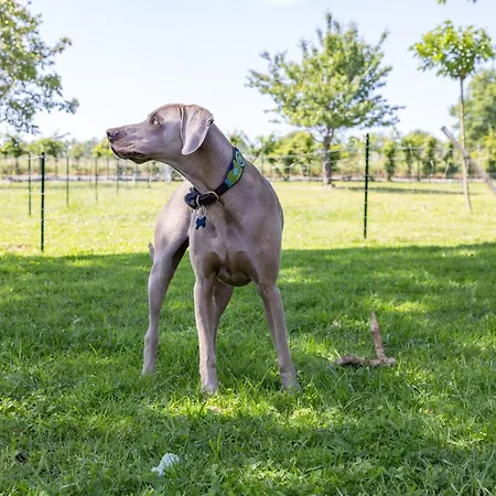 度假居 Le Domaine De La Haye - Saint-Christophe-du-Bois