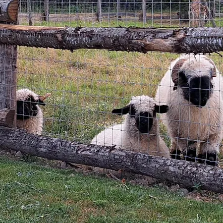 Le Domaine De La Haye -