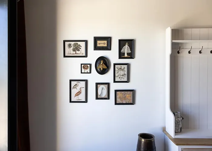 Le Domaine De La Haye - * Saint-Christophe-du-Bois