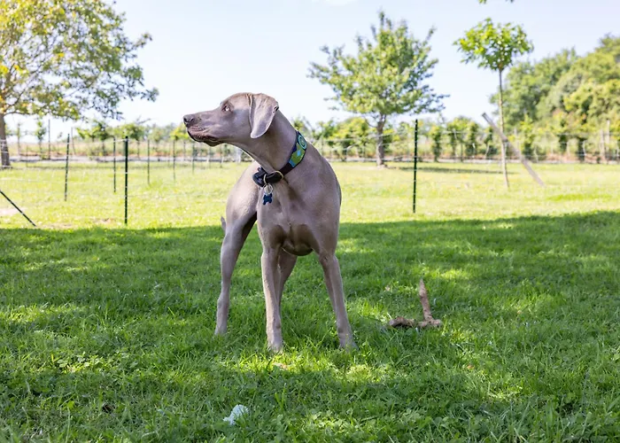 Дом отдыха Le Domaine De La Haye - Saint-Christophe-du-Bois