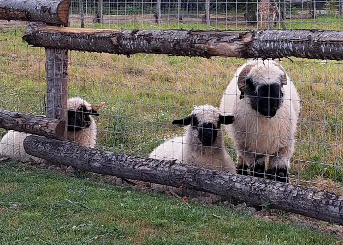 Le Domaine De La Haye -