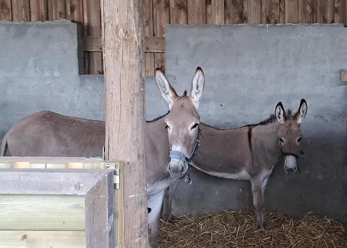 Le Domaine De La Haye - Saint-Christophe-du-Bois
